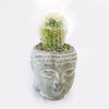 A Buddha head ceramic planter filled with pebbles and a fuzzy small cactus, perfect for adding style to any indoor room or office.