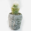 A small cactus with white fuzzy spines grows in a ceramic Buddha head planter filled with pebbles, adding calm to your indoor space.