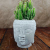Green cactus in a tranquil ceramic Buddha head planter, displayed on wood with a simple brown background, perfect for indoor décor.