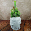 Green cactus with tall, upright stems in a ceramic Buddha head planter, displayed on wood against a neutral textured background.