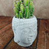Small green cactus in a gray ceramic Buddha head planter sits on a wooden surface, with a softly blurred brown background.