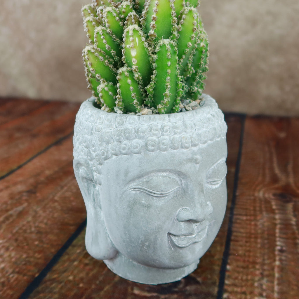 Small green cactus in a gray ceramic Buddha head planter sits on a wooden surface, with a softly blurred brown background.
