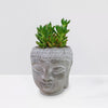 A green succulent grows in a gray ceramic Buddha head planter, displayed on a white surface with a plain white background.