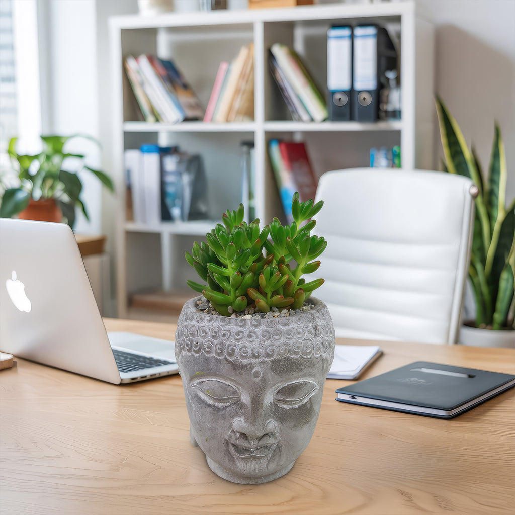 Buddha's Head planter with live indoor plants on an office desk, surrounded by a laptop, papers, and bookshelves in the background.