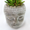 Gray ceramic Buddha head planter with a succulent and pebbles, adding a serene touch to any room. Shown on a plain white background.