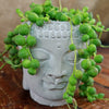 Gray ceramic Buddha head planter with string-of-pearls succulent draping like hair, displayed on a wooden surface.