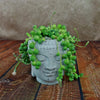Gray Buddha&