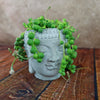 Gray Buddha&
