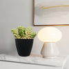 Burro’s Tail Succulent (Sedum morganianum ‘Burrito’) in a black pot on a white marble table near a modern lamp and abstract art.