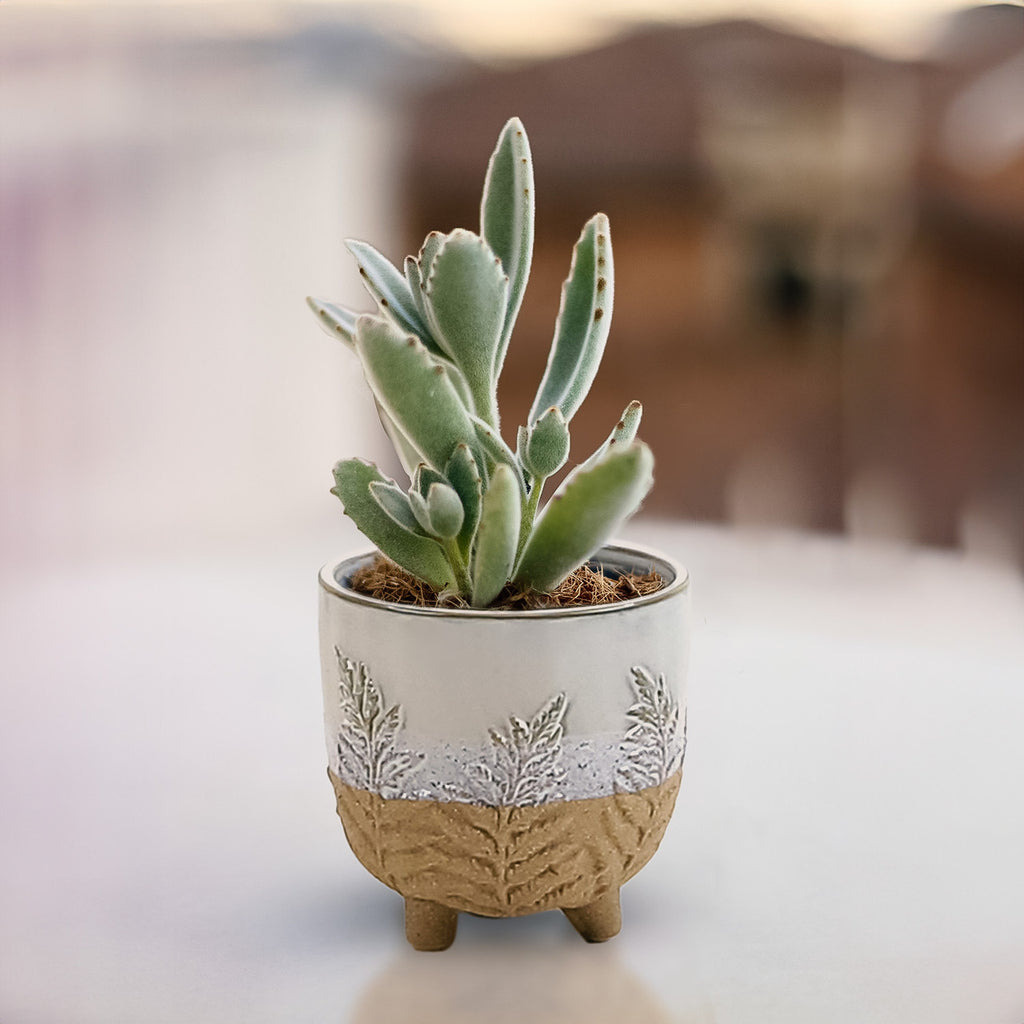 Fern Print Cream & Sand two toned footed Pot