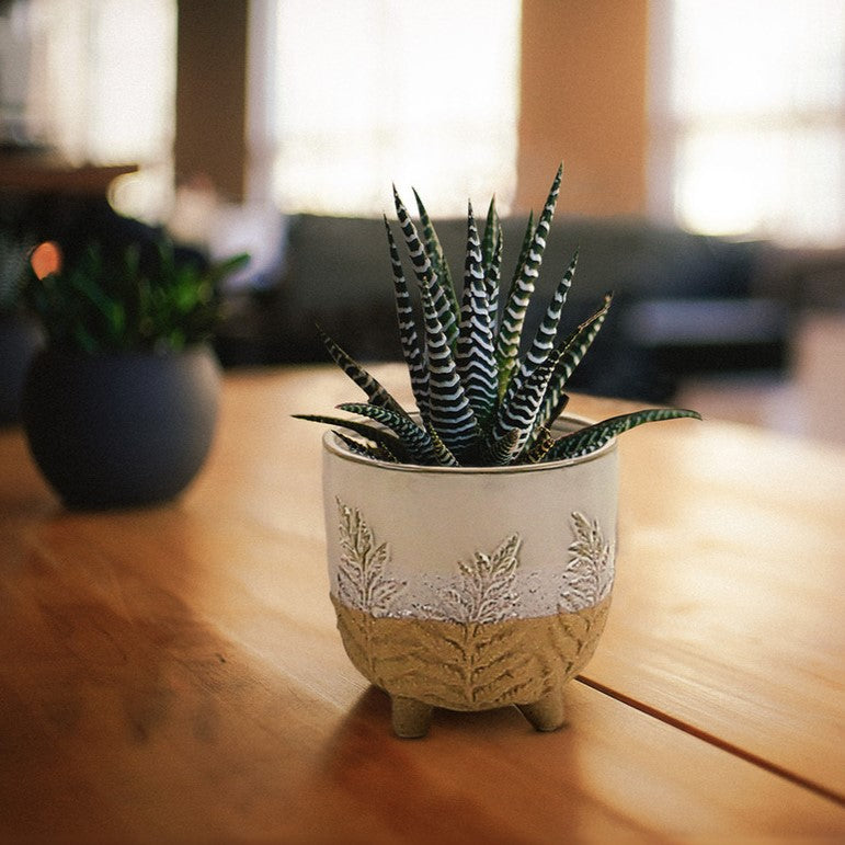 Fern Print Cream & Sand two toned footed Pot