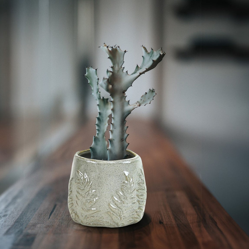 Fern Print Reactive Glazed Pot