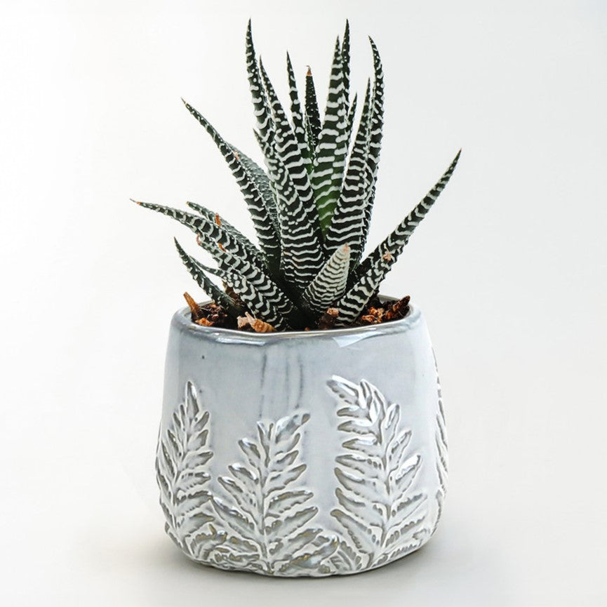 Fern Print Reactive Glazed Pot
