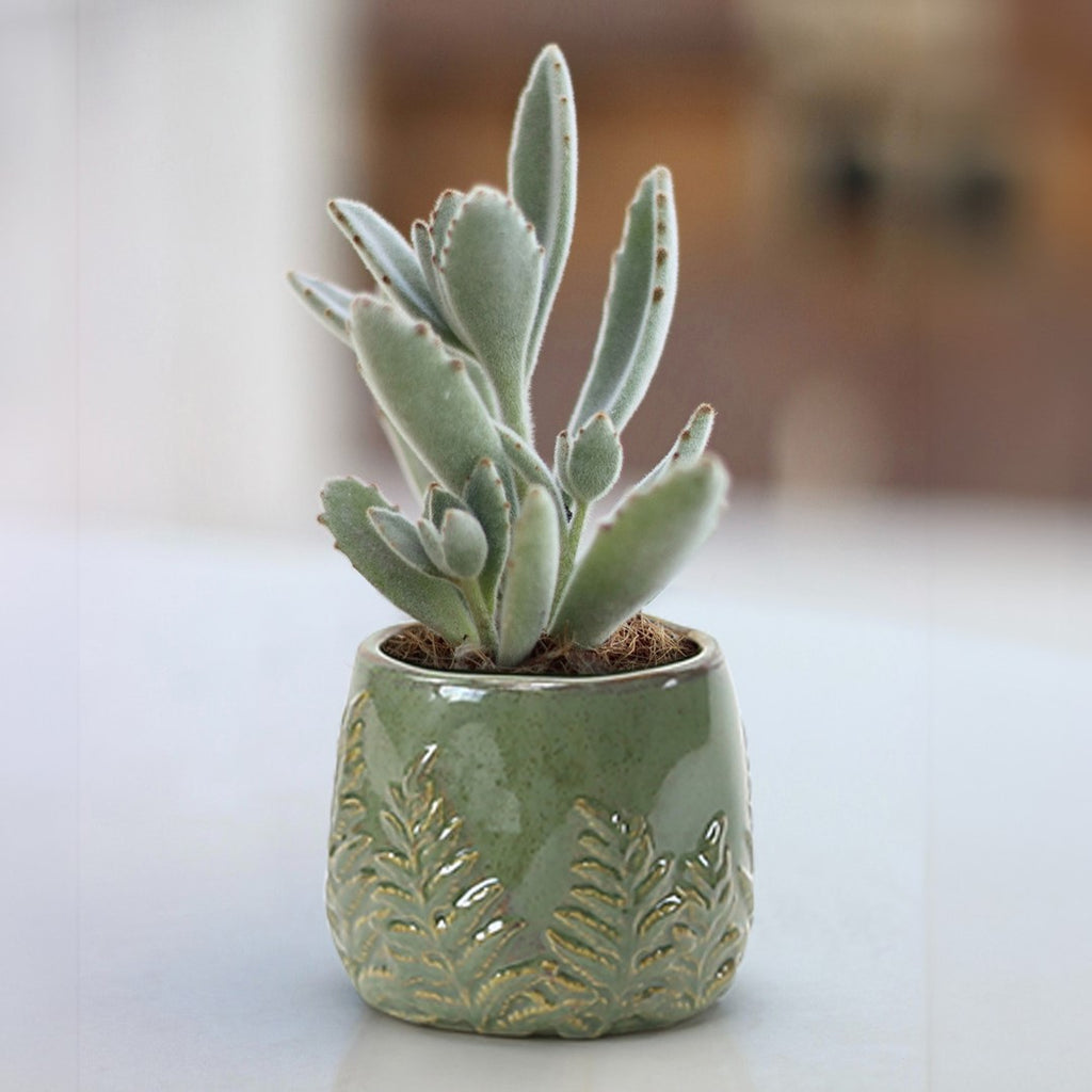 Fern Print Reactive Glazed Pot