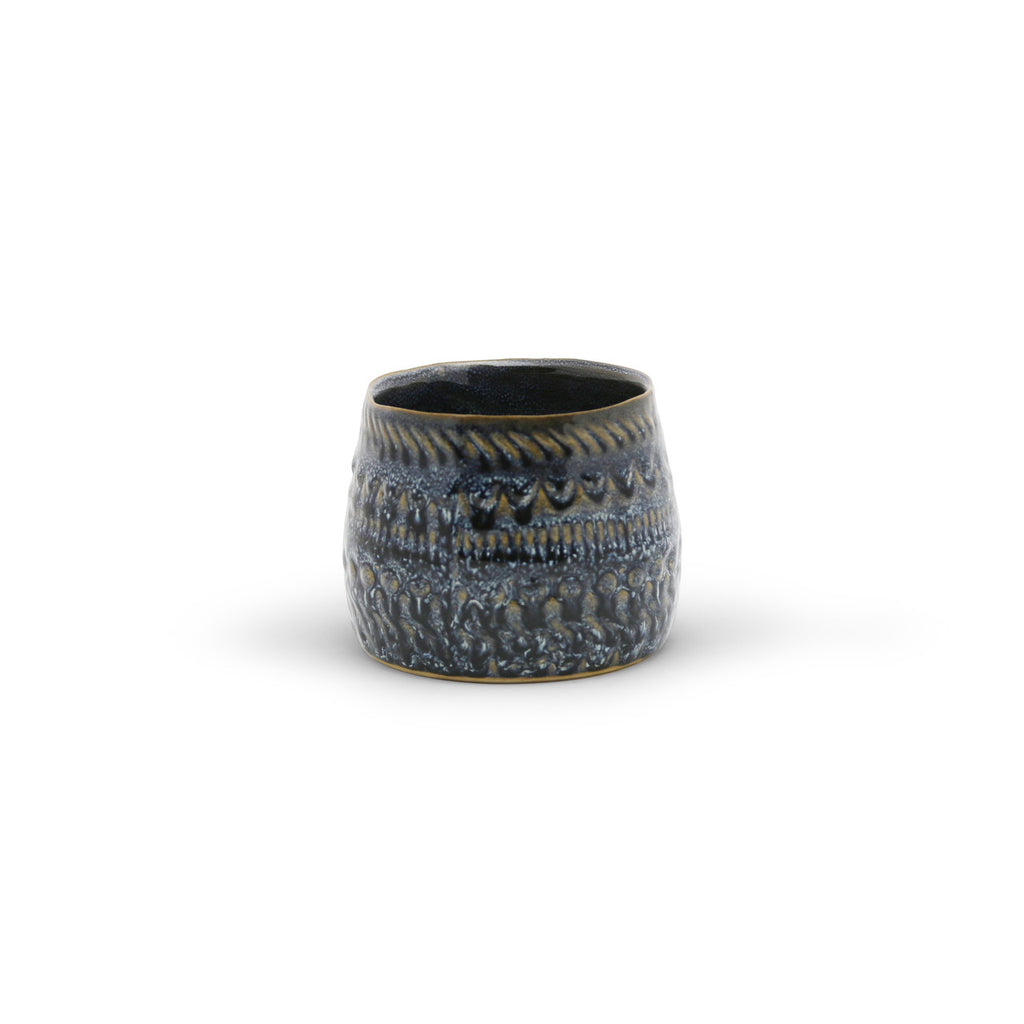 Gift Fancy Blue Pot w/ Cactus or Succulent