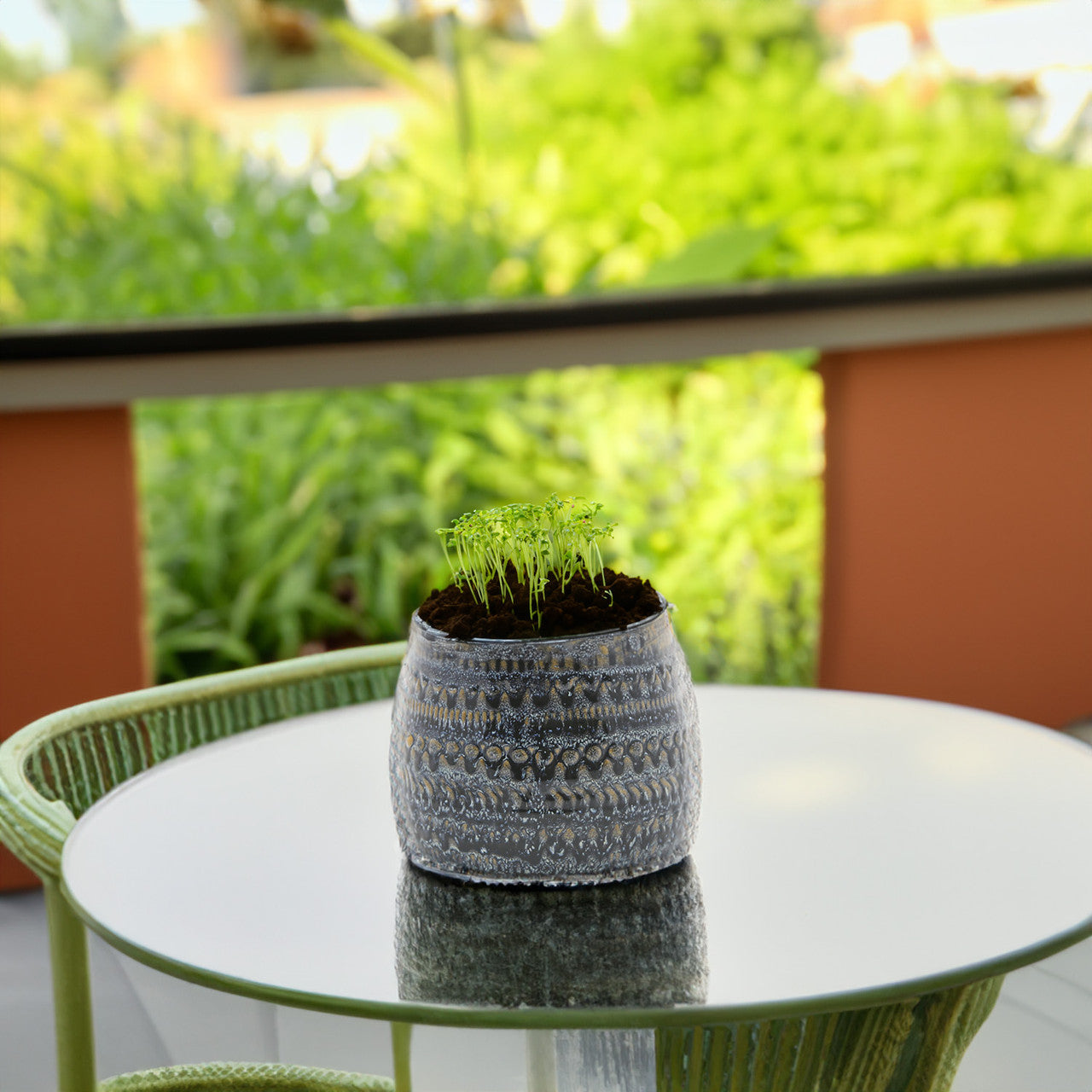 fancy pot plants Fancy Blue Pot 5" Pot