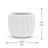 Unique Modern White Pot