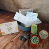 3 Cacti Concrete Capri DIY Kit