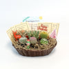 Cactus Gift Basket Arrangement – A Unique Holiday Gift