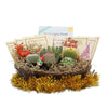 Cactus Gift Basket Arrangement – A Unique Holiday Gift