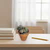Missy Pebbles Cactus Pal with googly eyes in a terracotta pot sits on a desk by books, pencil, chair, and window with sheer curtains.