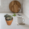 Missy Pebbles Cactus Pal with googly eyes in a terracotta pot sits by a steaming mug, cutting boards, and green leaves; great gift.