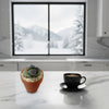 Mr Pleiospilos ‘Split Rock Cactus Pal’ with googly eyes in a small pot, next to hot coffee on a marble counter with mountain views.