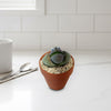 Mr Pleiospilos ‘Split Rock Cactus Pal’ with googly eyes sits on a white kitchen counter near a spoon and cup in a bright kitchen.