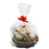 1 Cactus and 1 Succulent Growing Kit – A Creative Gift Basket