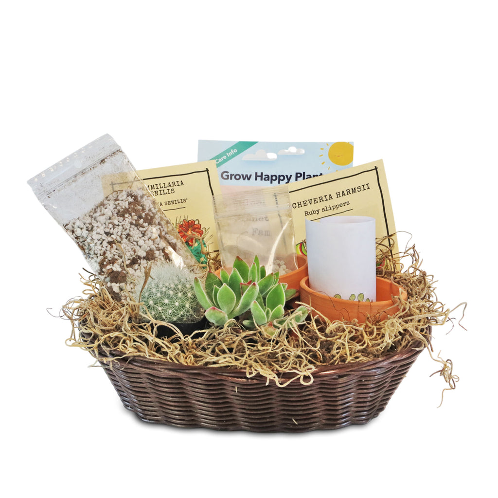 1 Cactus and 1 Succulent Growing Kit – A Creative Gift Basket