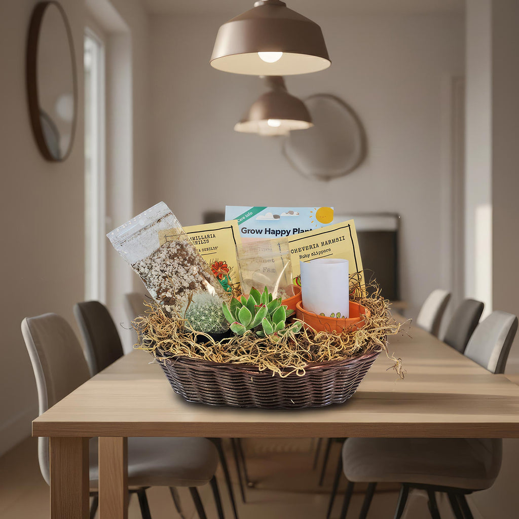 1 Cactus and 1 Succulent Growing Kit – A Creative Gift Basket