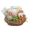 1 Cactus and 1 Succulent Growing Kit – A Creative Gift Basket