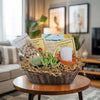 1 Cactus and 1 Succulent Growing Kit – A Creative Gift Basket
