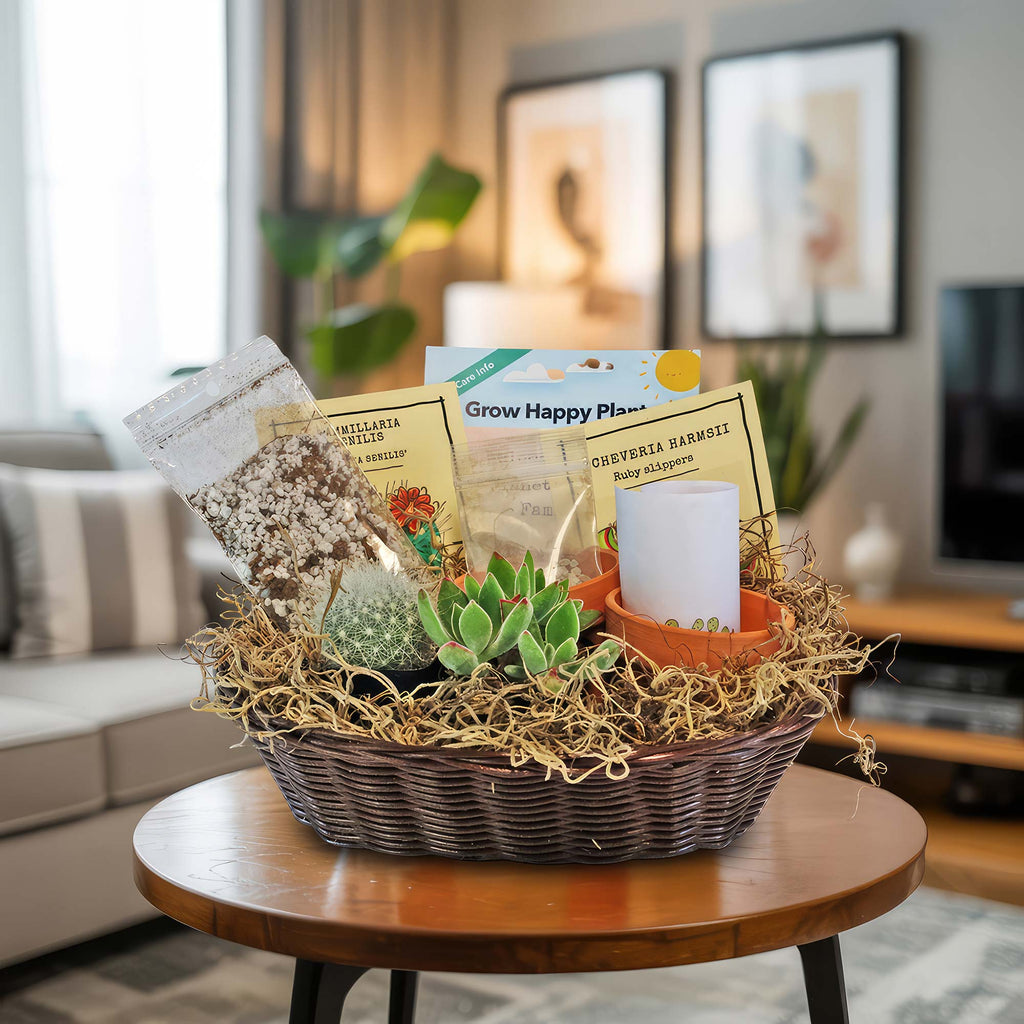 1 Cactus and 1 Succulent Growing Kit – A Creative Gift Basket