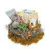 1 Cactus and 1 Succulent Growing Kit – A Creative Gift Basket