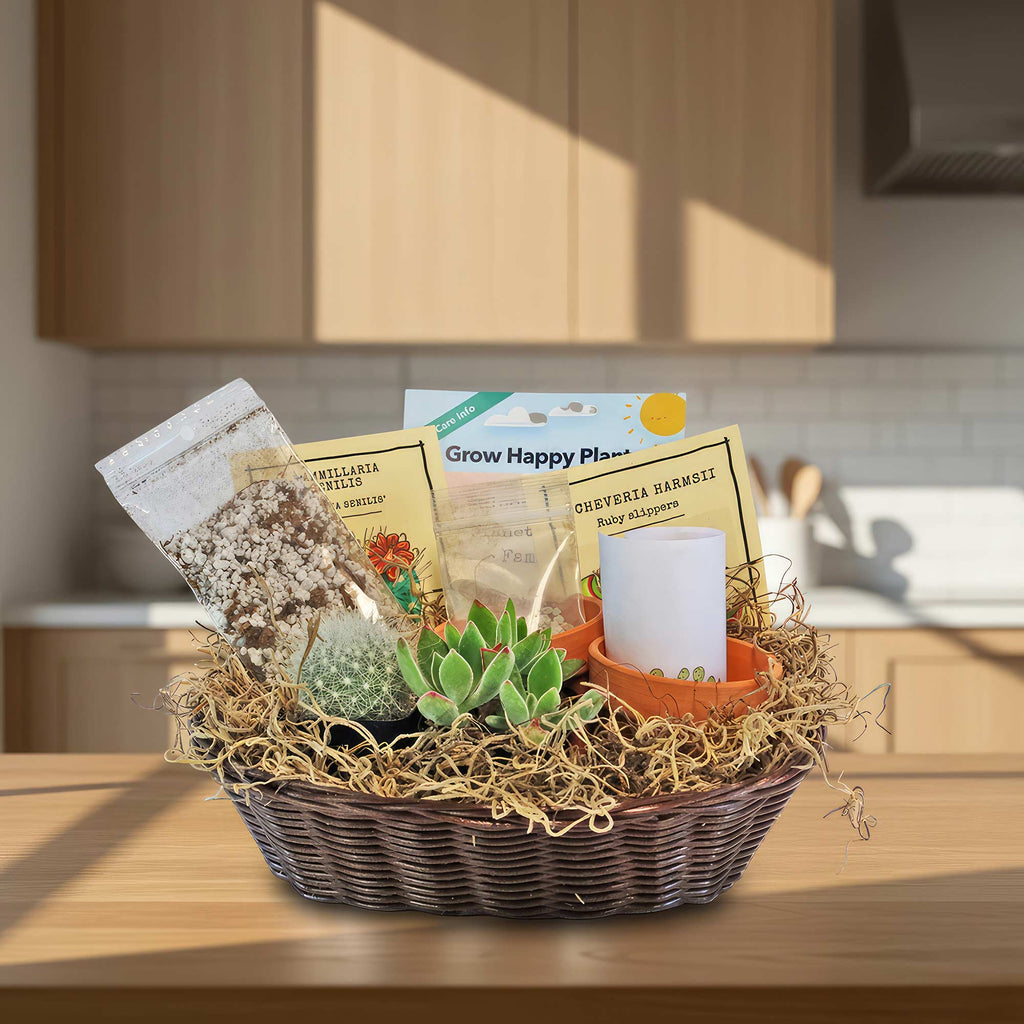 1 Cactus and 1 Succulent Growing Kit – A Creative Gift Basket