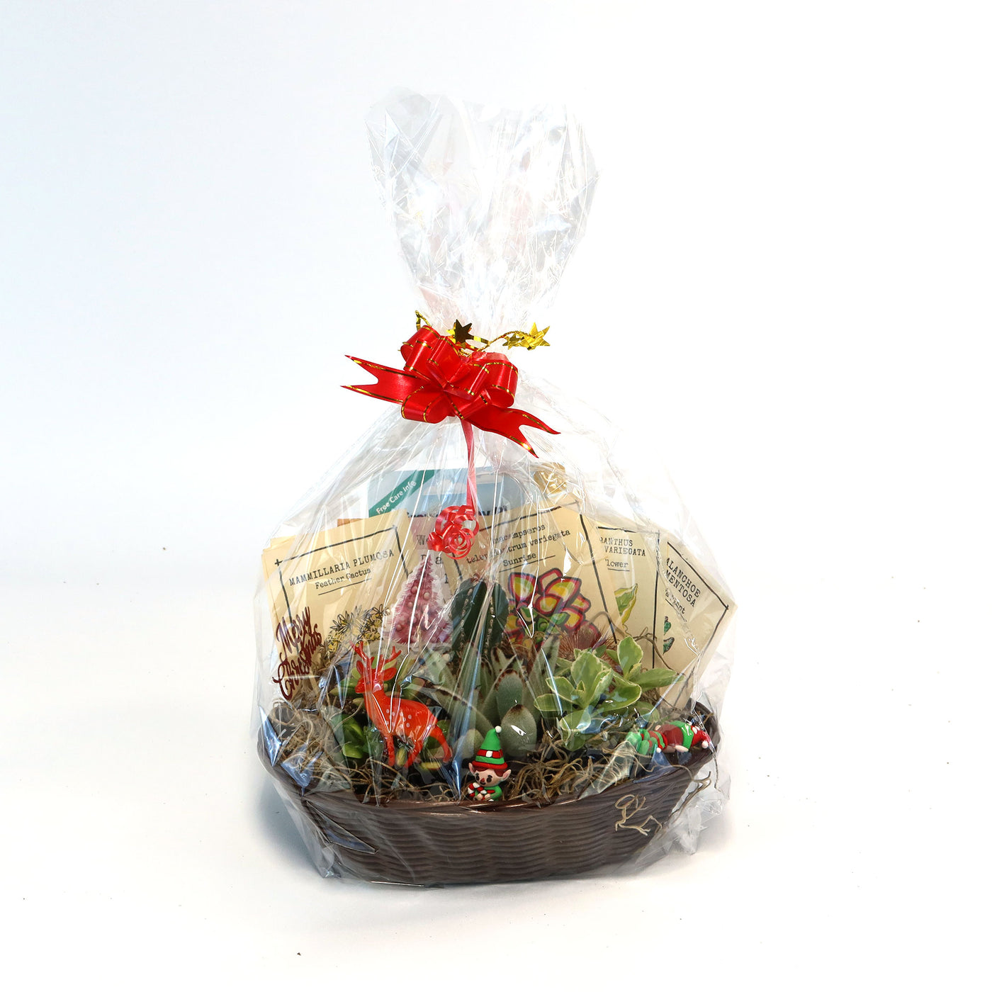 Cactus & Succulent Gift Basket – A Unique Holiday Gift