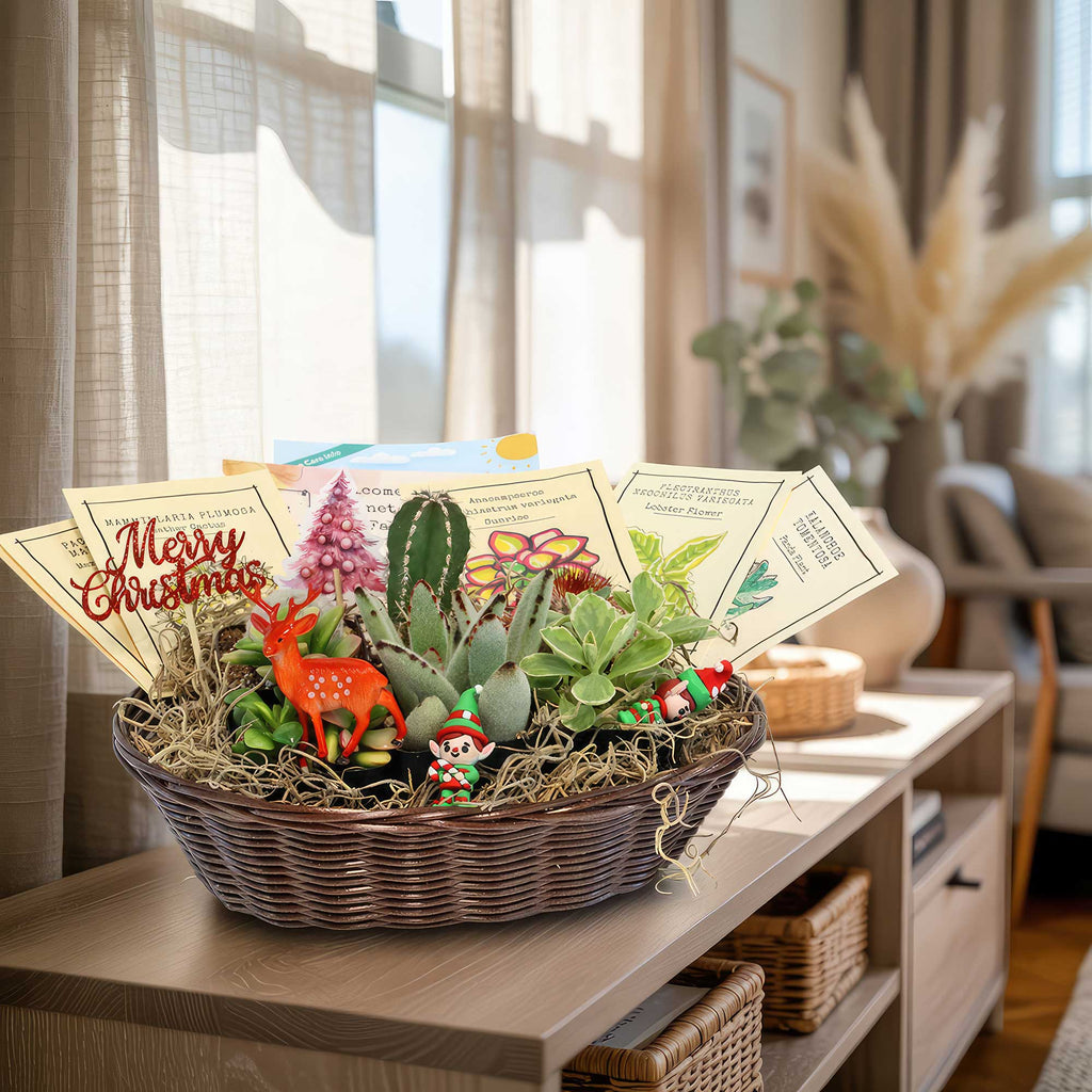 Cactus & Succulent Gift Basket – A Unique Holiday Gift