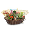 Cactus & Succulent Gift Basket – A Unique Holiday Gift