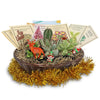 Cactus & Succulent Gift Basket – A Unique Holiday Gift