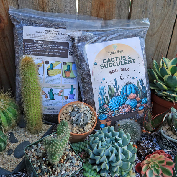 Succulent & Cactus Soil Mix  1qt Ready-to-Use Fast Draining Potting Soil  For Bonsai, Houseplants
