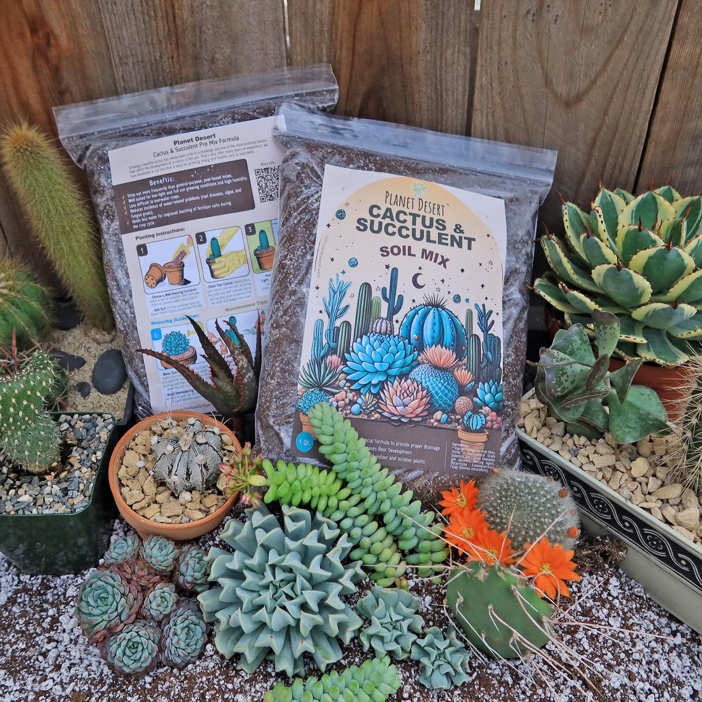 Cactus and Succulent Soil Mix: The Ultimate Pro Mix Formula