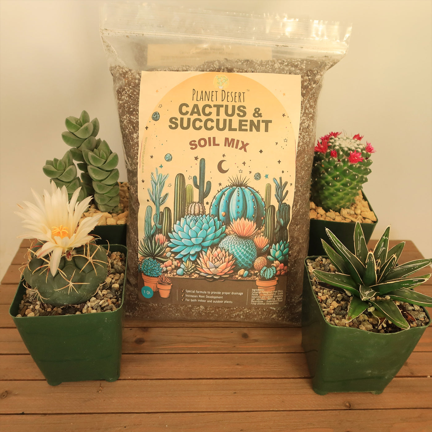 is cactus soil well draining Succulent Soil Potting Mix Succulent Soil Cactus & Mix