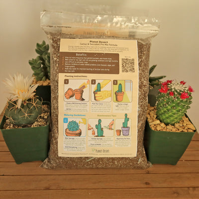 Cactus and Succulent Soil Mix: The Ultimate Pro Mix Formula