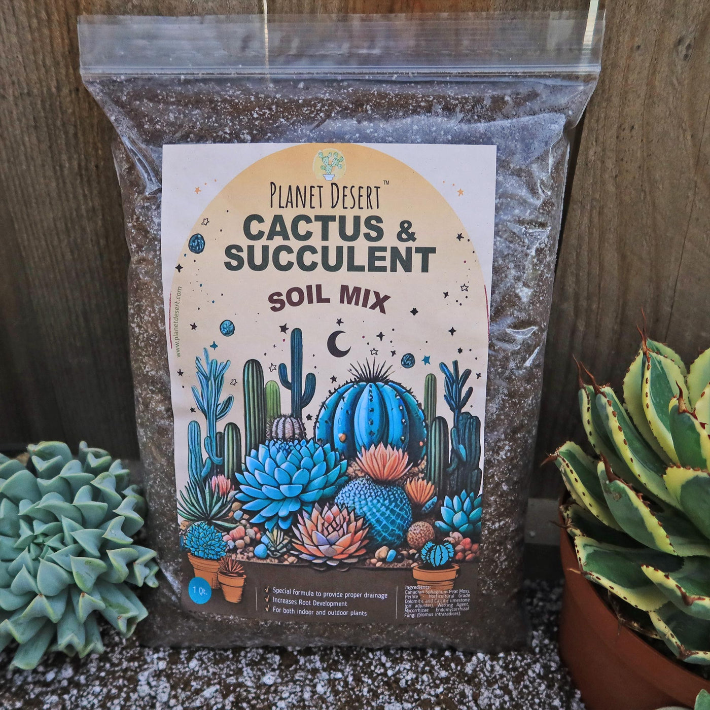 Cactus and Succulent Soil Mix