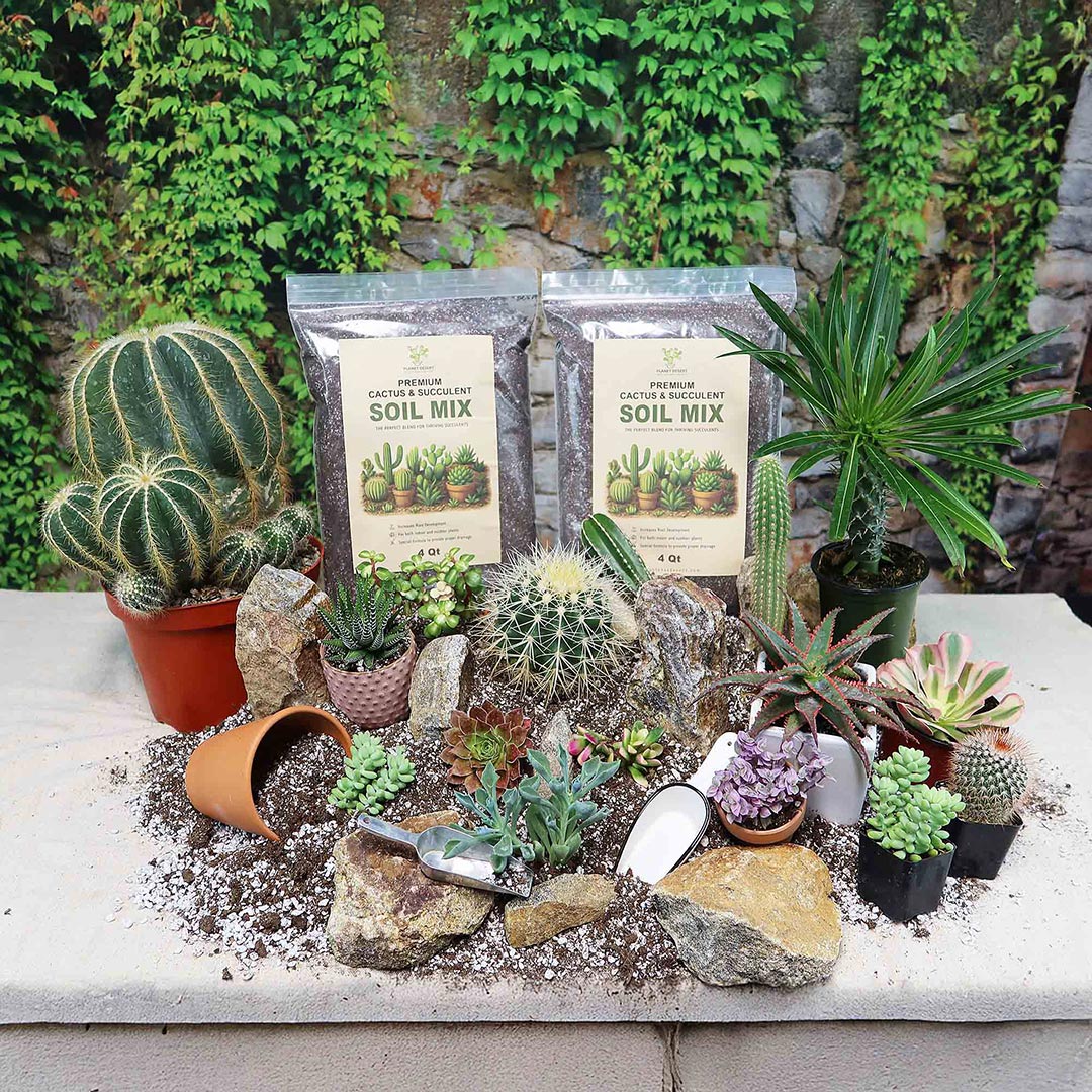 Cactus and Succulent Soil Mix: The Ultimate Pro Mix Formula