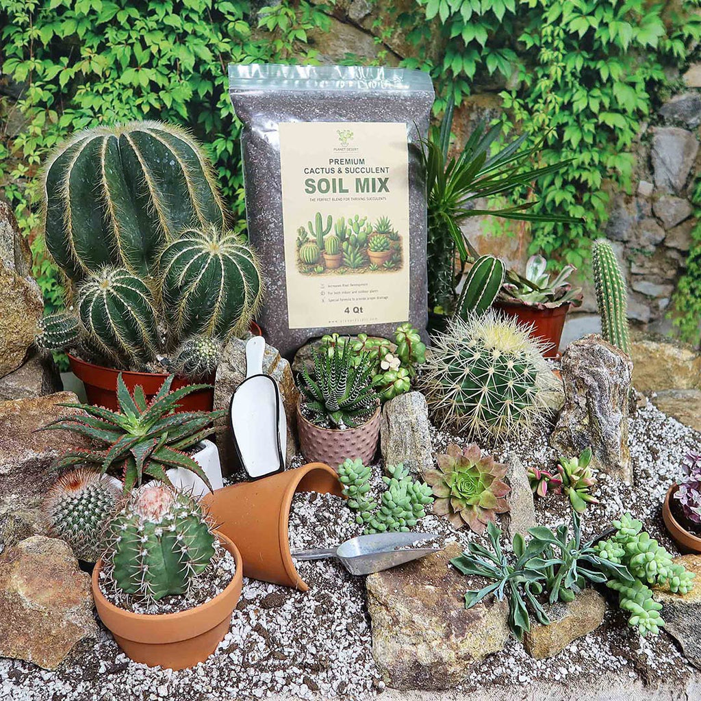 Cactus and Succulent Soil Mix: The Ultimate Pro Mix Formula