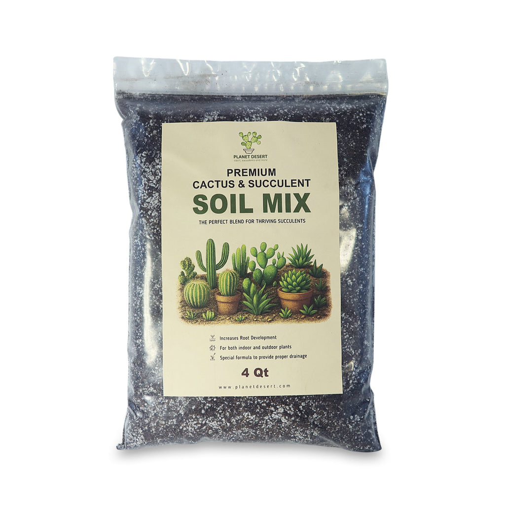 Cactus and Succulent Soil Mix: The Ultimate Pro Mix Formula