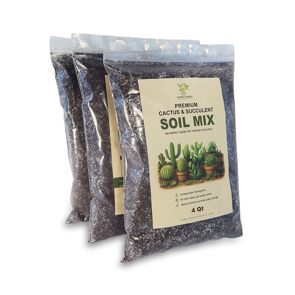 Cactus and Succulent Soil Mix: The Ultimate Pro Mix Formula