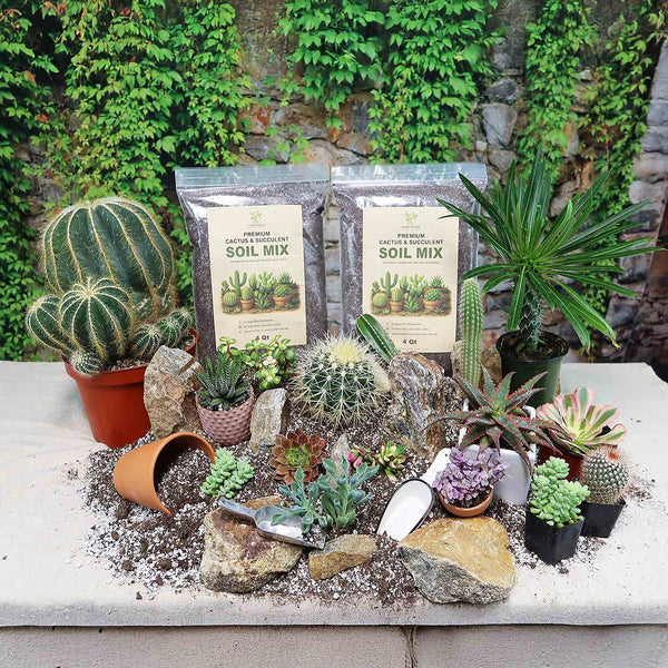 Cactus and Succulent Soil Mix: The Ultimate Pro Mix Formula 12 Quarts